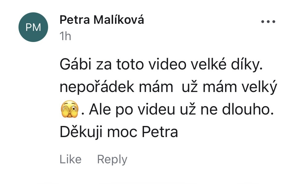 Recenze od Petry Malíkové: Gábi, za toto video velké díky. Nepořádek mám už velký, ale po videu už ne dlouho. Děkuji moc, Petra.
